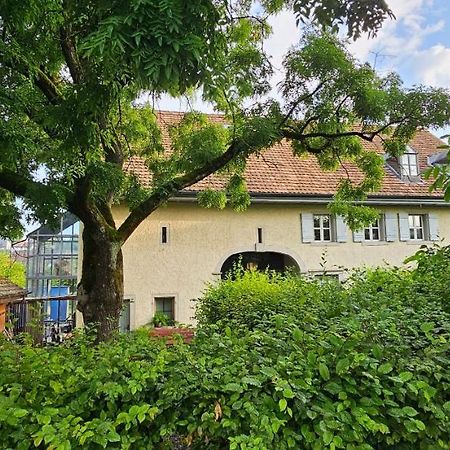 Blue Wall Bnb Gebenstorf Екстер'єр фото