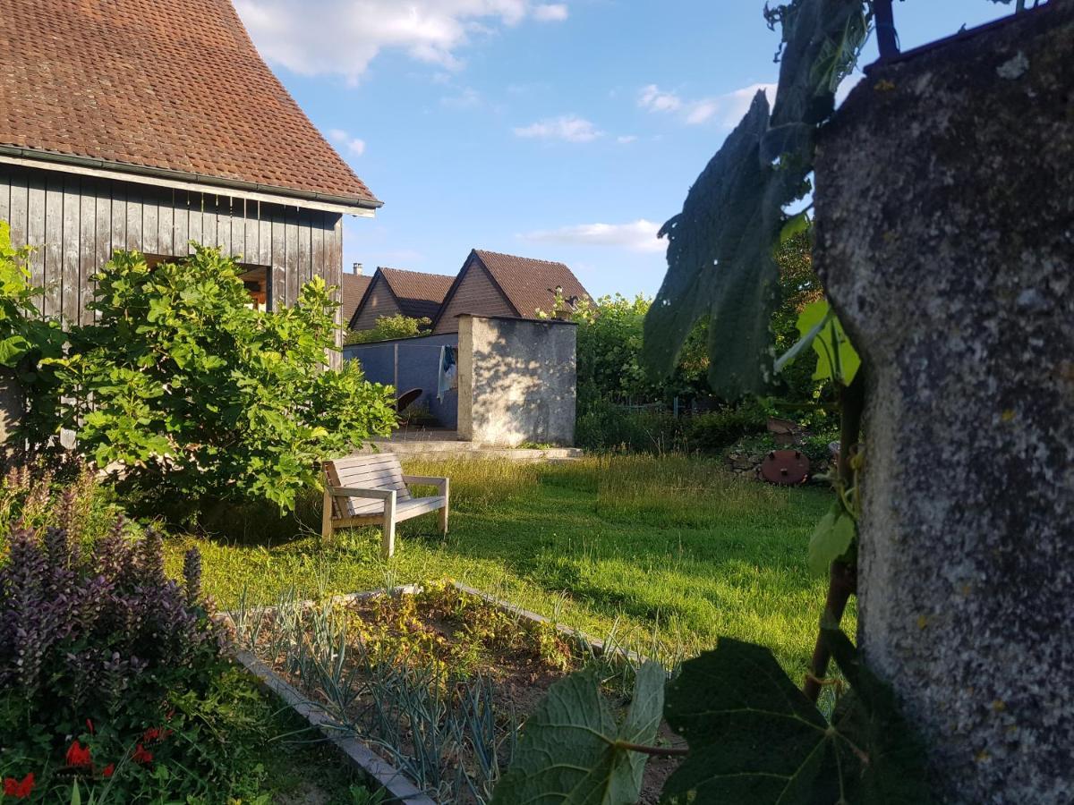 Blue Wall Bnb Gebenstorf Екстер'єр фото