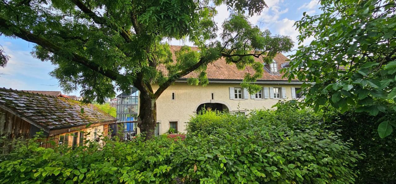 Blue Wall Bnb Gebenstorf Екстер'єр фото