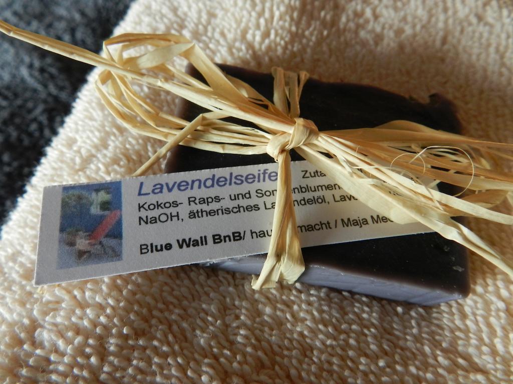 Blue Wall Bnb Gebenstorf Екстер'єр фото