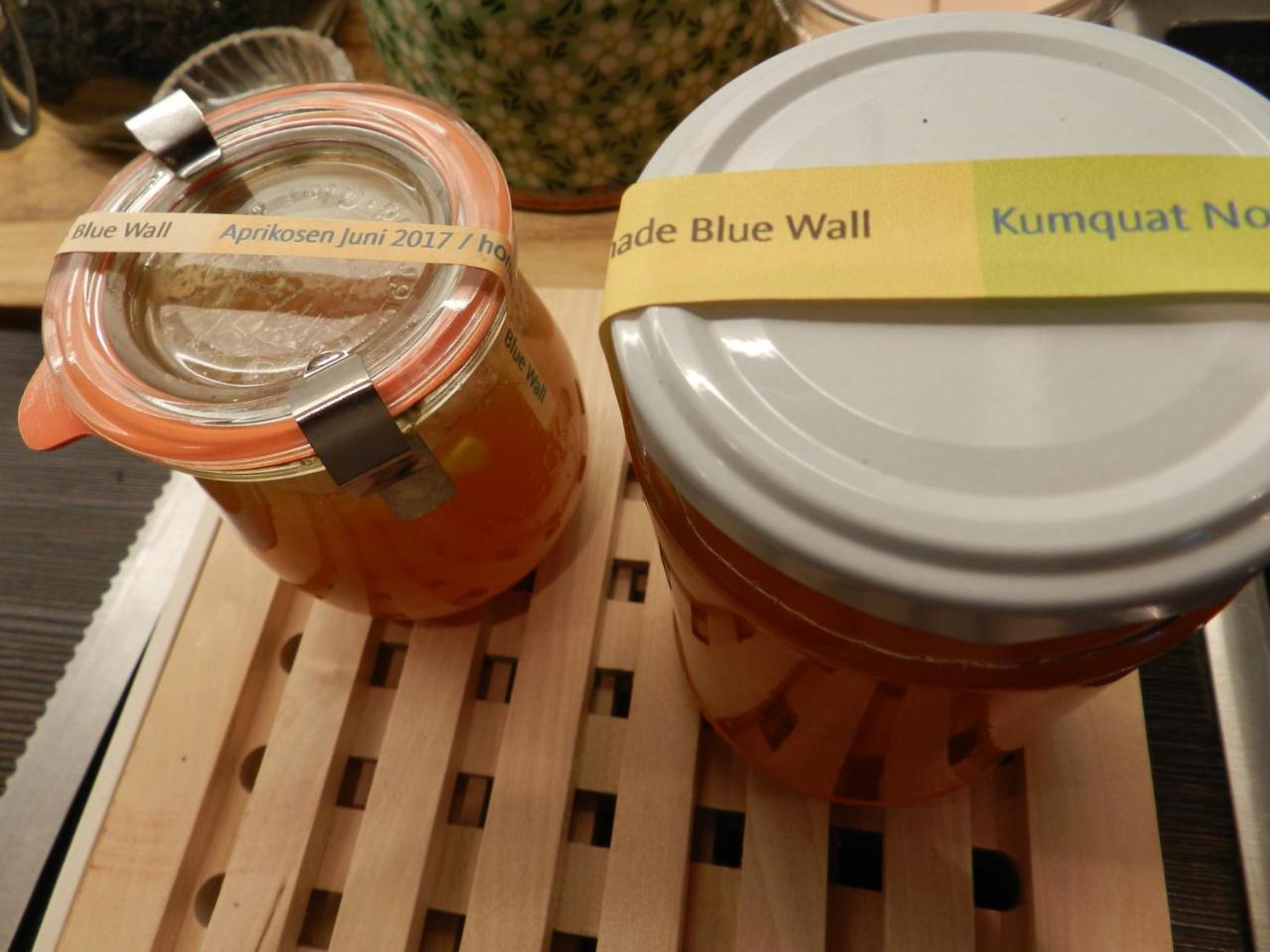 Blue Wall Bnb Gebenstorf Екстер'єр фото